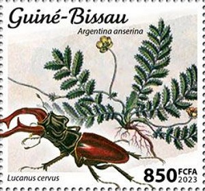 Гвинея-Бисау - Guinea Bissau ( 2023)