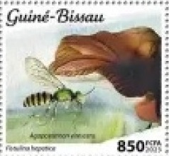 Гвинея-Бисау - Guinea Bissau 2023