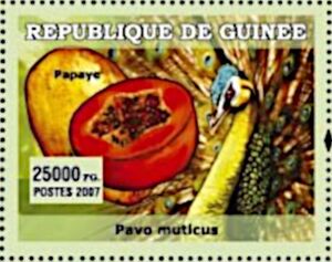 Гвинея - Guinea 2007