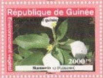 Гвинея - Guinea (2007)