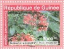 Гвинея - Guinea (2007)