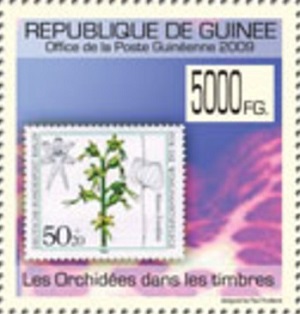 Гвинея - Guinea (2009)