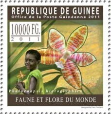 Гвинея - Guinea (2011)