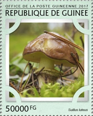 Гвинея - Guinea (2017)