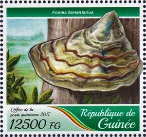 Гвинея - Guinea 2017