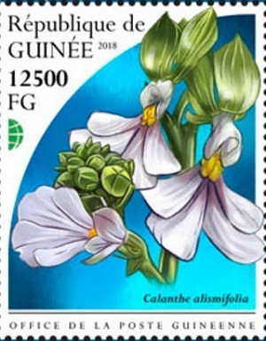 Гвинея - Guinea (2018)