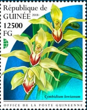 Гвинея - Guinea (2018)