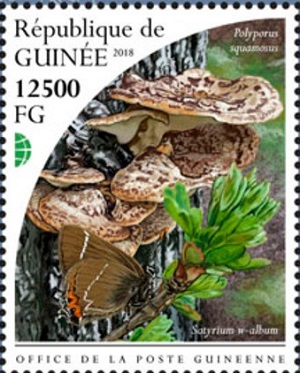 Гвинея - Guinea 2018