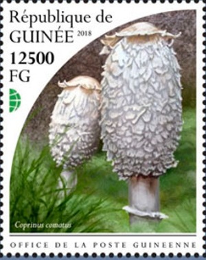 Гвинея - Guinea 2018