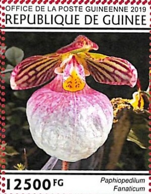 Гвинея - Guinea (2019)