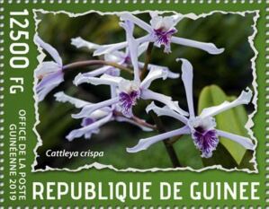 Гвинея - Guinea 2019