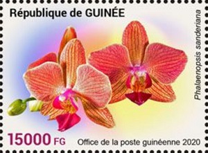 Гвинея - Guinea (2020) 