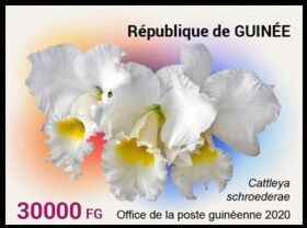 Гвинея - Guinea (2020) 