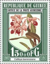 Гвинея - Guinea (2021)