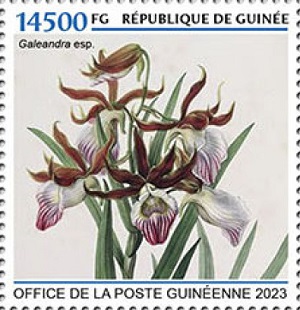 Гвинея - Guinea (2023)