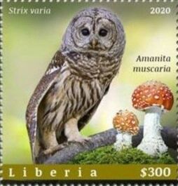 Либерия - Liberia 2020