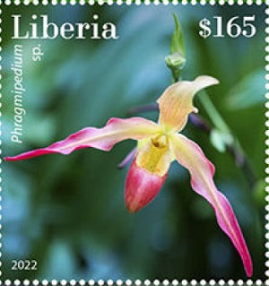 Либерия - Liberia (2022)