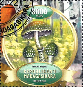 Мадагаскар - Madagascar (2022)