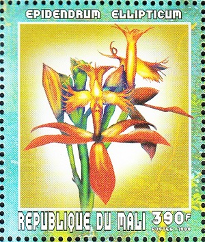 Мали - Mali (1999)