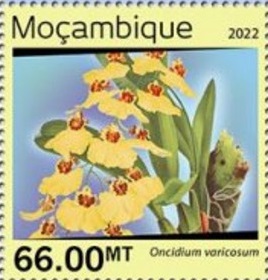 Мозамбик - Mozambique (2022)