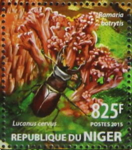 Нигер - Niger (2015)