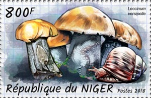 Нигер - Niger (2018)