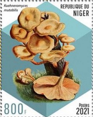 Нигер - Niger (2021)