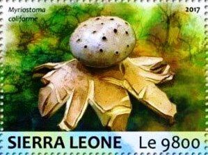 Сьерра-Леоне - Sierra Leone 2017