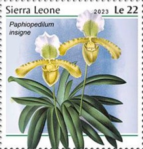 Сьерра-Леоне - Sierra Leone (2023)