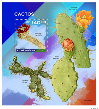 Сан-Томе - Saint Thomas and Principe (2021)