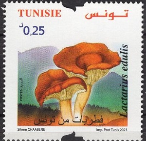 Tunisia 2023