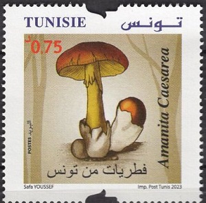 Тунис - Tunisia (2023)