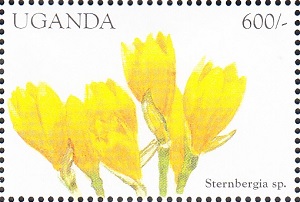 Уганда - Uganda (1998)