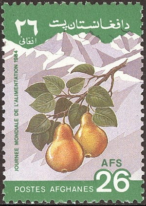Afghanistan 982