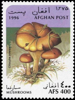 Афганистан - Afghanistan (1996) 