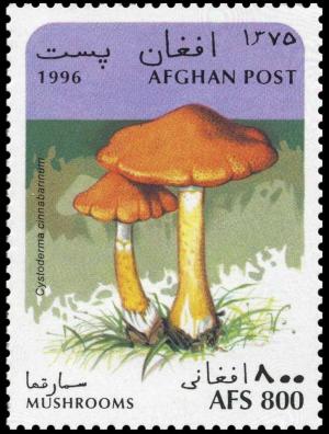 Афганистан - Afghanistan (1996)