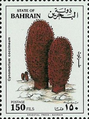 Бахрейн - Bahrain (1993)