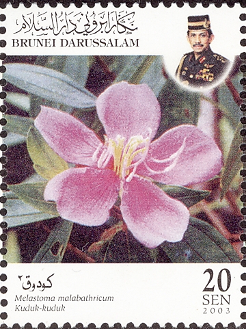 Brunei 2003