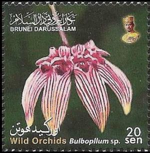 Brunei 2009