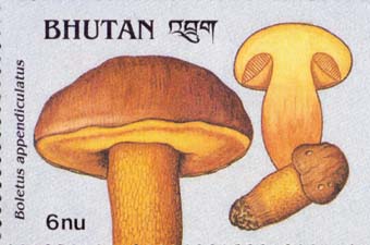 Bhutan 1989