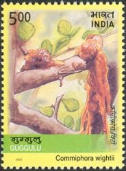 India 2003
