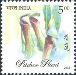 India 2005
