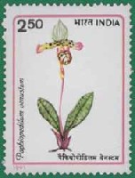 India 1991