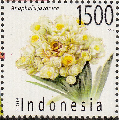 Индонезия - Indonesia 2003