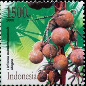 Индонезия - Indonesia (L.mamberamoensis - 2006)