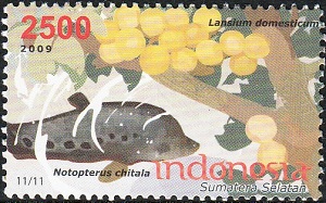 Индонезия - Indonesia (2009)