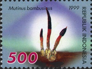 Indonesia 1999
