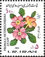 Iran 1985