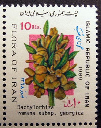 Iran 1989