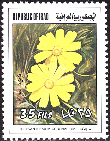 Iraq 1977